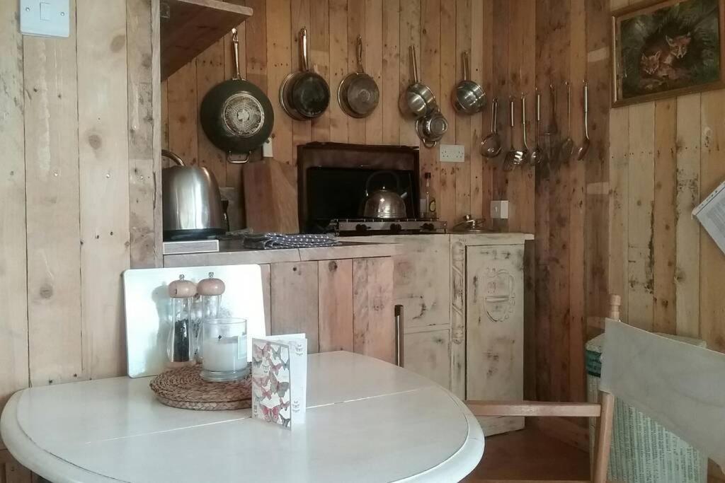 Foxesden, Unique Eco Cabin, Dartmoor Views South Brent エクステリア 写真