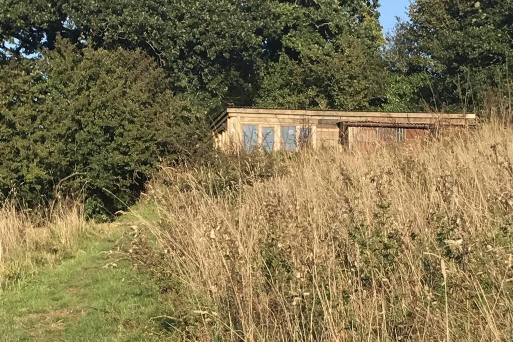 Foxesden, Unique Eco Cabin, Dartmoor Views South Brent エクステリア 写真