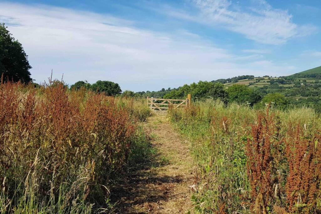 Foxesden, Unique Eco Cabin, Dartmoor Views South Brent エクステリア 写真
