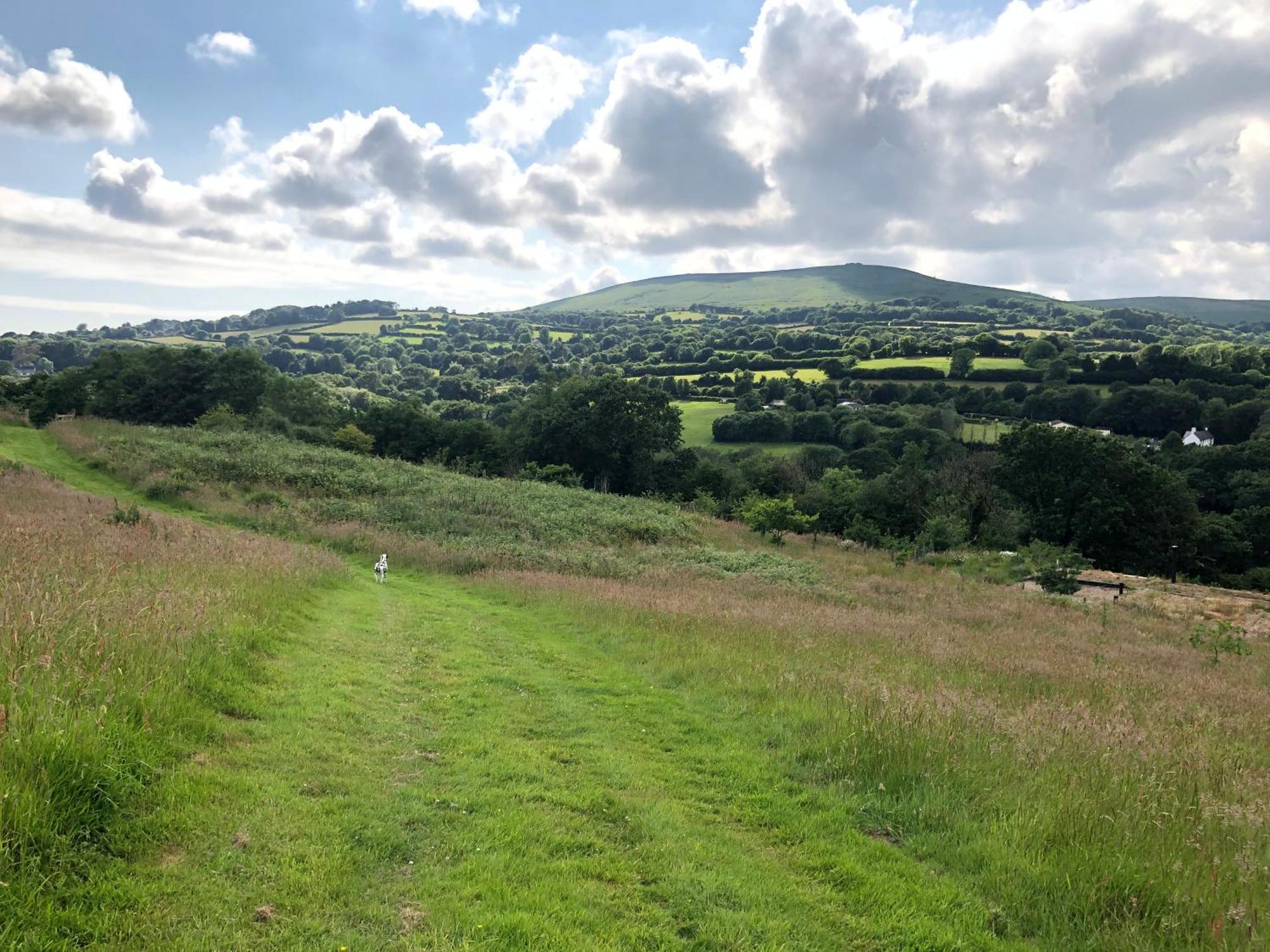 Foxesden, Unique Eco Cabin, Dartmoor Views South Brent エクステリア 写真